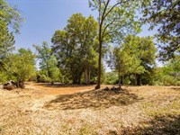 Cedar Road Retreat : Julian : San Diego County : California