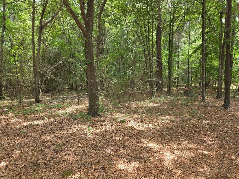 14.92 Wooded Acres Bibb County GA : Macon : Bibb County : Georgia