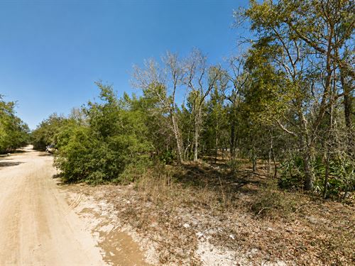 Near Lake, No HOA, Owner Financing : Interlachen : Putnam County : Florida