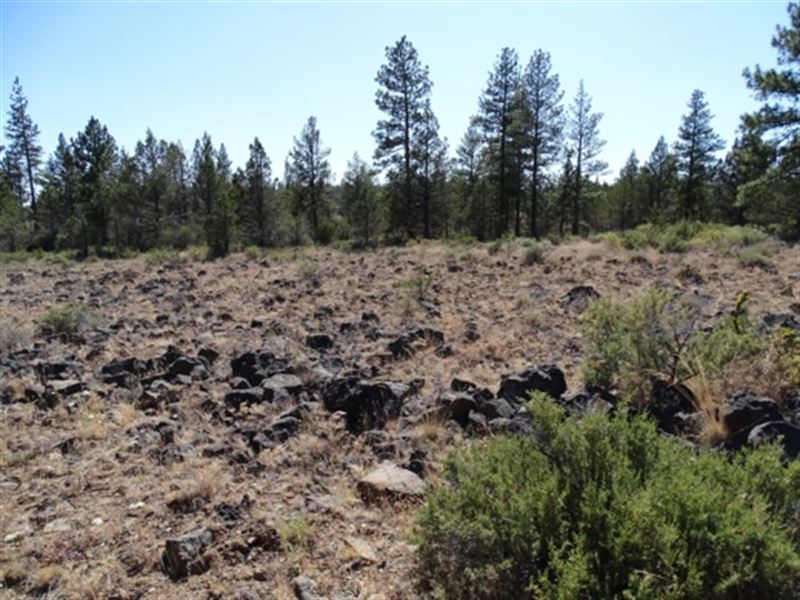 Natural Wonders Await in The City : Beatty : Klamath County : Oregon