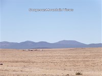 1 Acre Escape Near Concho Lake : Concho : Apache County : Arizona
