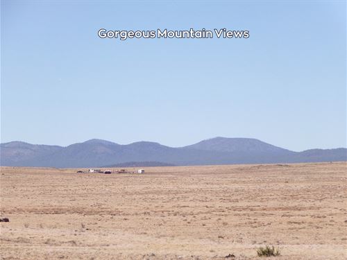 1 Acre Escape Near Concho Lake : Concho : Apache County : Arizona