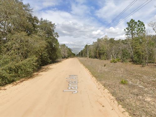 Tiny Lot, Big Florida Future : Interlachen : Putnam County : Florida