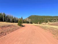 Buildable 1.56 Acre Corner Lot : Fort Garland : Costilla County : Colorado
