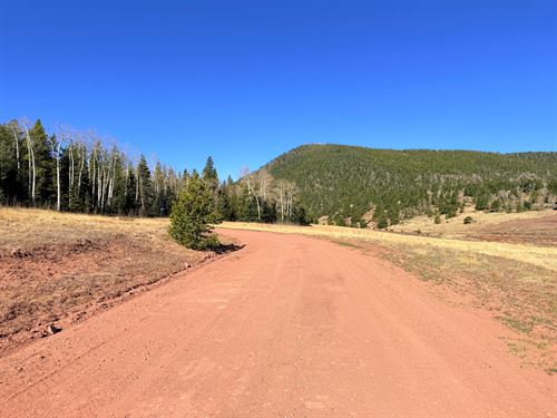 Buildable 1.56 Acre Corner Lot : Fort Garland : Costilla County : Colorado