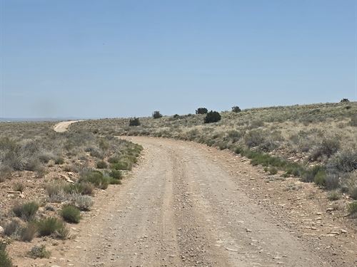 Spacious Arizona Living Starts Here : Winslow : Navajo County : Arizona