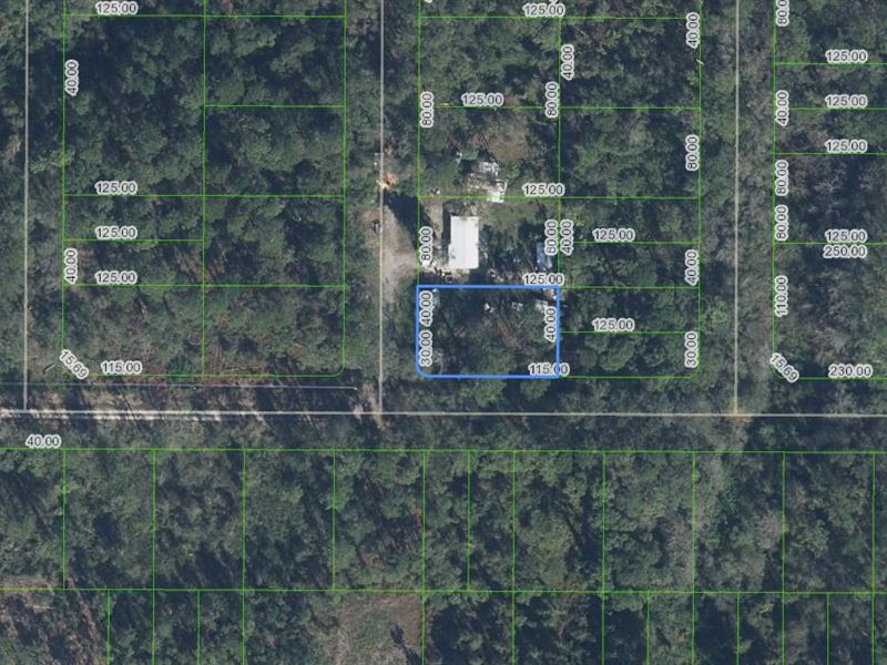 Big Land Deal, Tiny $199 Down : Sebring : Highlands County : Florida