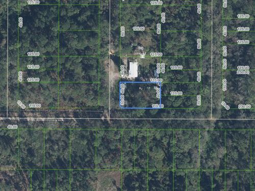 Big Land Deal, Tiny $199 Down : Sebring : Highlands County : Florida