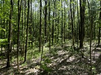 North Country Retreat : Vienna : Oneida County : New York