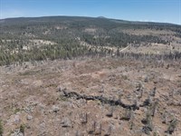16.42 Acres in Klamath Falls Forest : Klamath Falls : Klamath County : Oregon