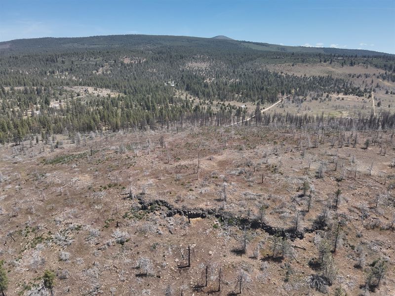16.42 Acres in Klamath Falls Forest : Klamath Falls : Klamath County : Oregon