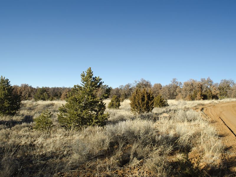 Off-Grid Living in Ramah, NM : Ramah : Cibola County : New Mexico