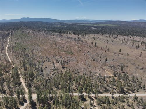 Seller Financing 2.62 Acres w Trees : Klamath Falls : Klamath County : Oregon