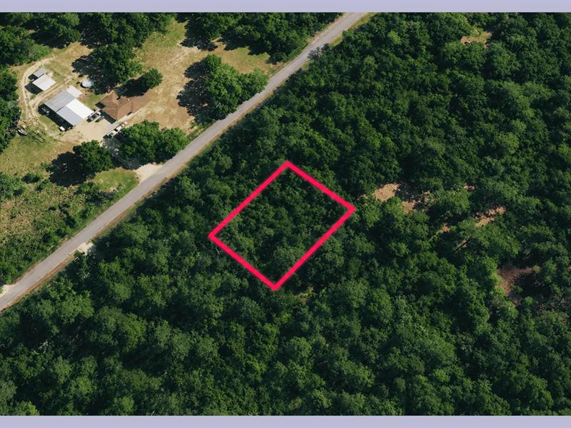 Private Wooded Lot Near The Water : Milton : Santa Rosa County : Florida