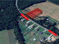 Affordable Ridgeville Acreage : Ridgeville : Dorchester County : South Carolina