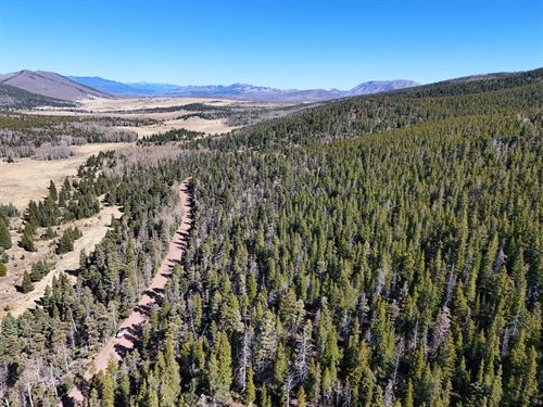 Forbes Park Summer Escape : Fort Garland : Costilla County : Colorado