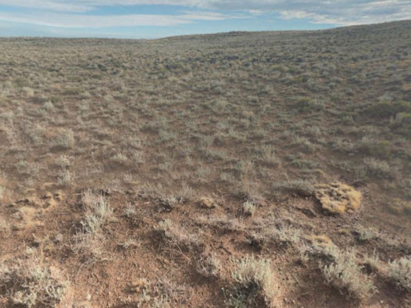 Imagine Owning Land for $169 Down : Mesita : Costilla County : Colorado