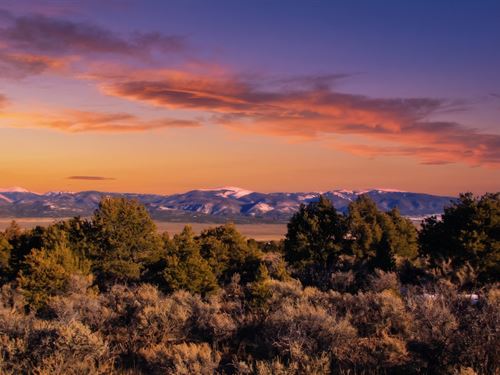 Your Base Camp, Your Rules : San Luis : Costilla County : Colorado
