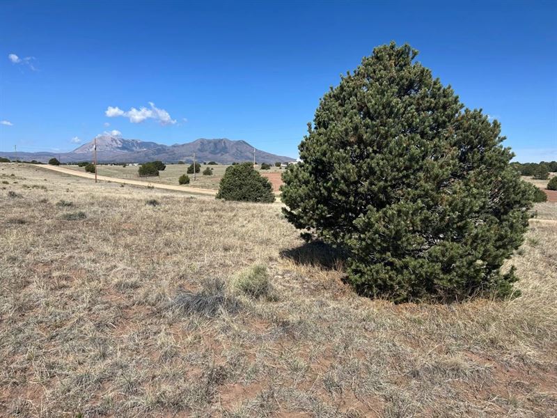 Lot 94 Navajo Ranch Resorts, Walsen : Walsenburg : Huerfano County : Colorado