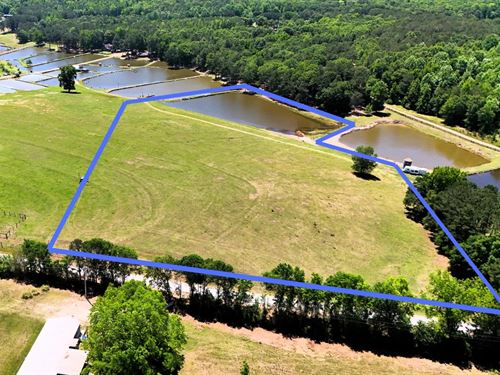 9.72 Acres in Lee County, AL : Salem : Lee County : Alabama