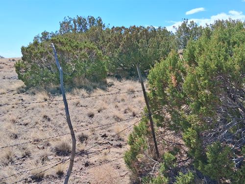 Off-Grid Lot Ideal for Solar Use : Concho : Apache County : Arizona