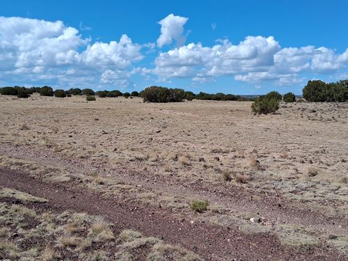 Own Desert Off-Grid Lot with View : Concho : Apache County : Arizona