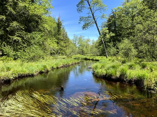 Upstate NY Camp or Camper Site : Vienna : Oneida County : New York