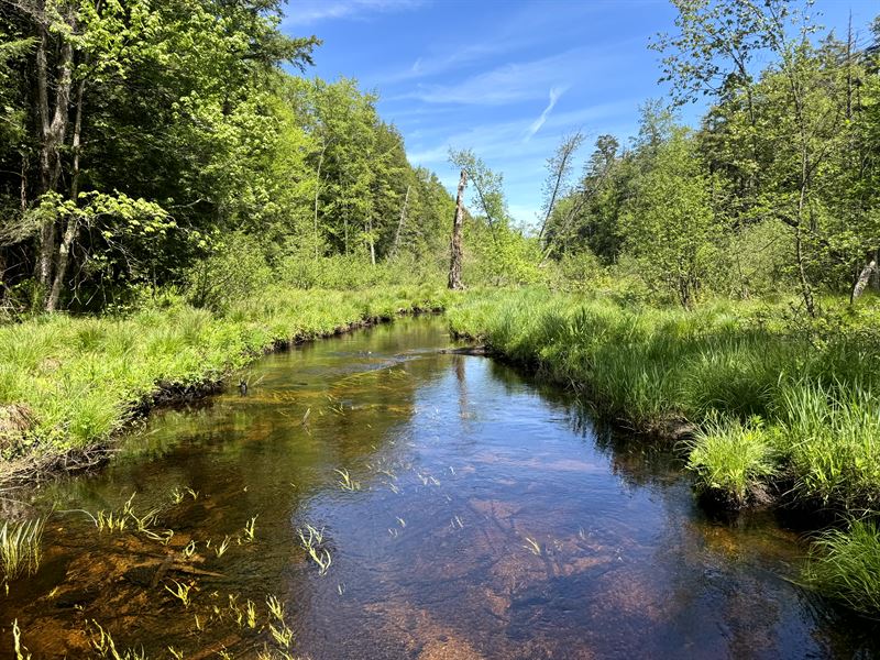 Cabin Site Near Onida Lake : Vienna : Oneida County : New York