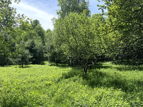 Upstate NY Camp or Camper Site : Vienna : Oneida County : New York