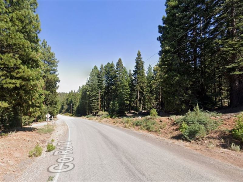 Nice 1 Acre in California Pines : Christensen : Modoc County : California