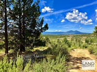 5.53 Wooded Acres with Amazing View : Sprague River : Klamath County : Oregon