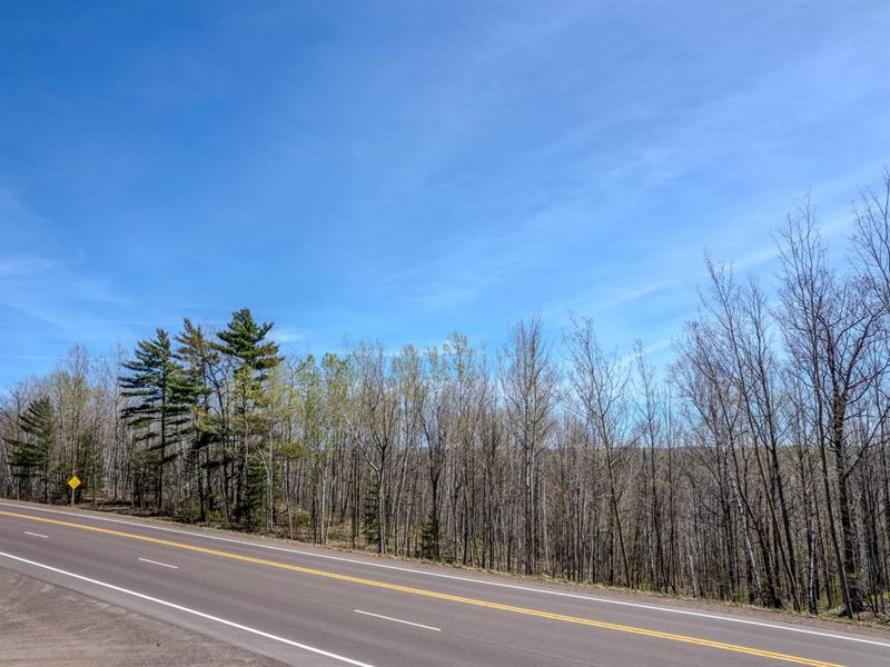 Saxton Wooded Acreage : Saxon : Iron County : Wisconsin