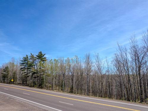 Saxton Wooded Acreage : Saxon : Iron County : Wisconsin