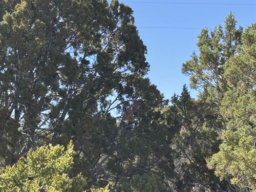 Corner Lot Across From Post Office : Concho : Apache County : Arizona