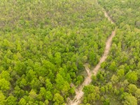 RV Friendly Land, $999 Down : Ellington : Reynolds County : Missouri