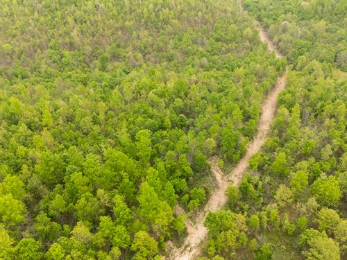 RV Friendly Land, $999 Down : Ellington : Reynolds County : Missouri
