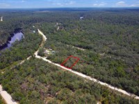 Suwannee Highlands Lot Live Oak : Live Oak : Suwannee County : Florida
