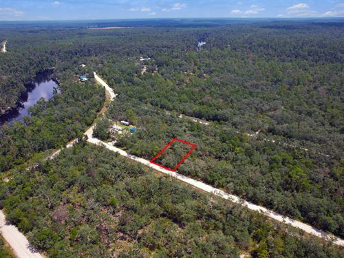 Suwannee Highlands Lot Live Oak : Live Oak : Suwannee County : Florida