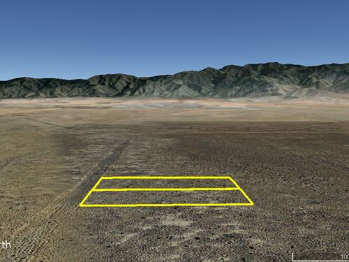 Homestead in New Mexico : Belen : Valencia County : New Mexico