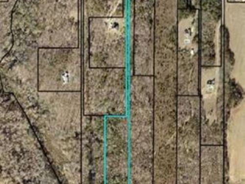 8.61 Acre Flag Lot Available : Hawkinsville : Houston County : Georgia