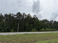 6 Acres 0.9 MI to SK Hyundai Plant : Cartersville : Bartow County : Georgia