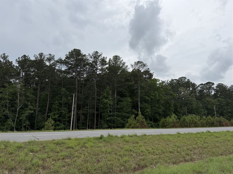 6 Acres 0.9 MI to SK Hyundai Plant : Cartersville : Bartow County : Georgia
