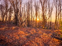 Blowing Rock, NC, Build Ready : Blowing Rock : Ashe County : North Carolina