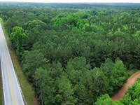 15.5 Acres Chambers County, AL : Roanoke : Chambers County : Alabama