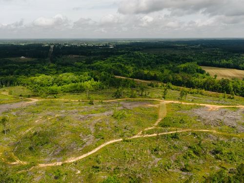 12.5 Acres in Winston County, MS : Preston : Winston County : Mississippi