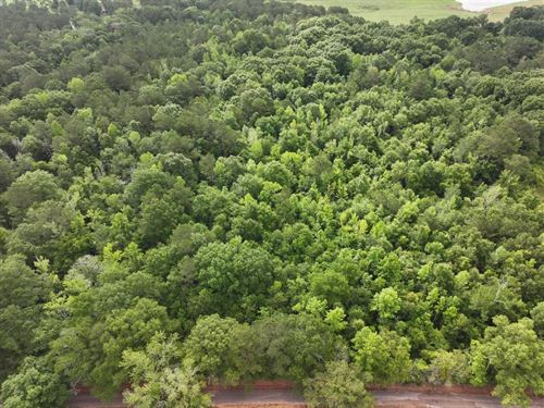 5 Acres in Amite County, MS : Magnolia : Amite County : Mississippi