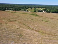 20 Acre Home-Site Central : Florence : Lauderdale County : Alabama