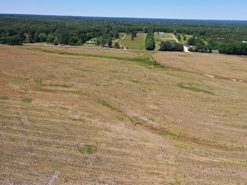 20 Acre Home-Site Central : Florence : Lauderdale County : Alabama