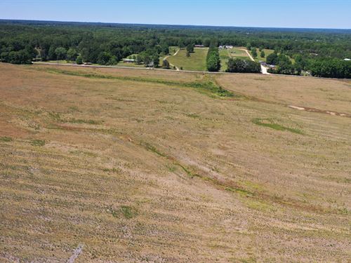 20 Acre Home-Site Central : Florence : Lauderdale County : Alabama