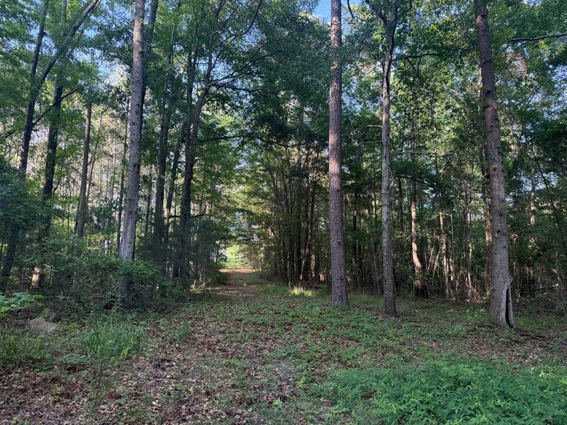 4.12 Acres in Notasulga, AL : Notasulga : Macon County : Alabama